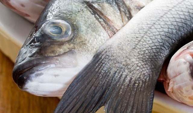 La spigola catturata con ganci e lenza può raggiungere il prezzo fino a 35 euro al kg