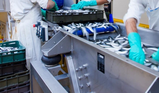 European Fish Processors Association