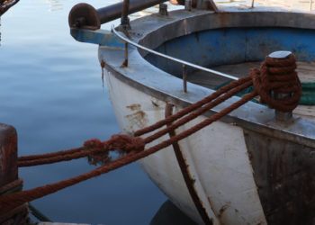 Bonus pescatori autonomi e soci cooperative