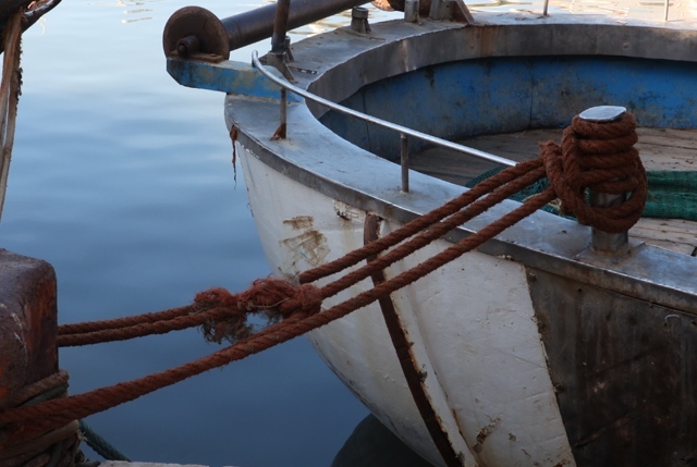 Bonus pescatori autonomi e soci cooperative