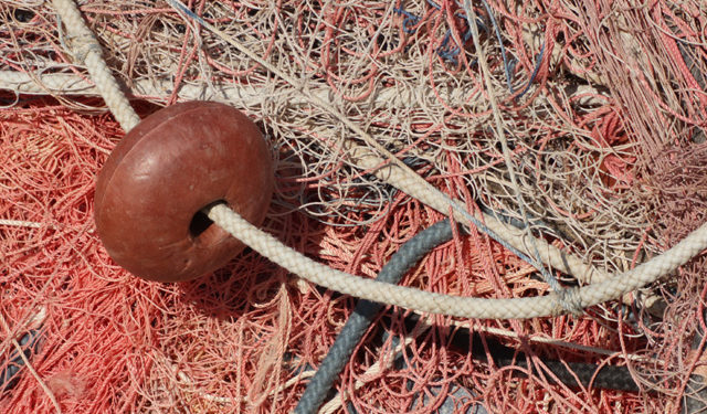 Covid 19 industria pesca Italia