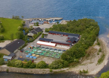 SalmoNIR analisi salmone vivo