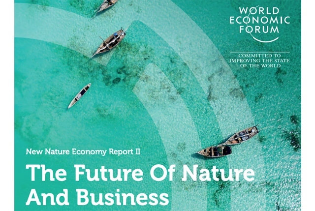 The Future of Nature and Business