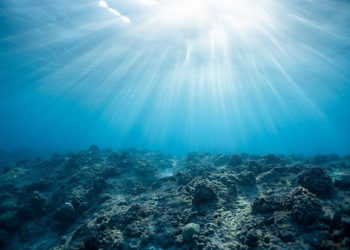 consultazione oceani