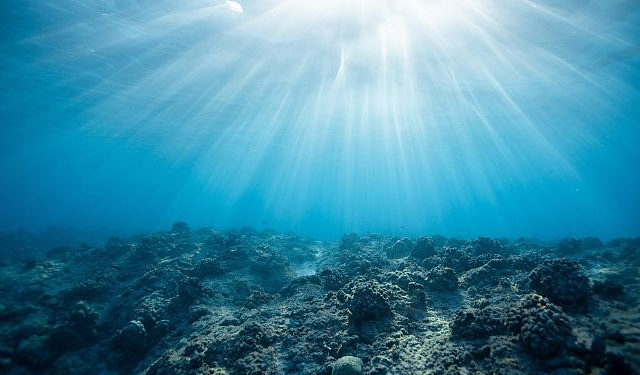 consultazione oceani