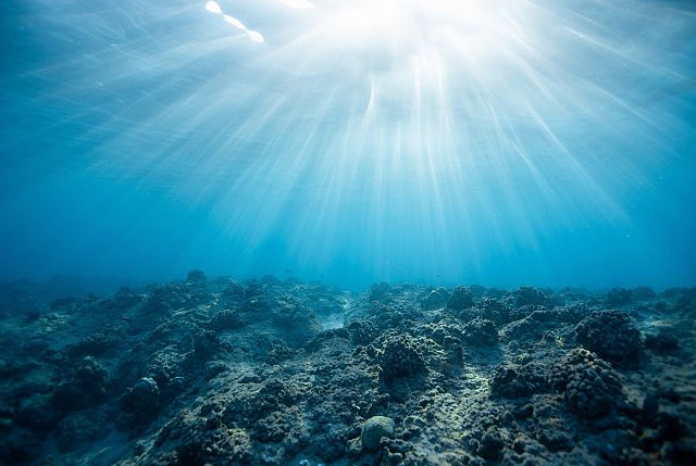 consultazione oceani