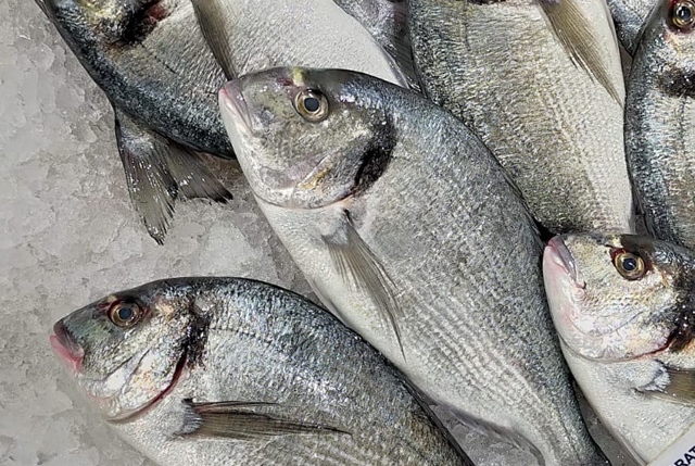 consumo di pesce