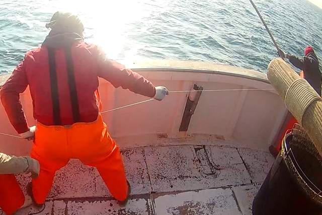 fondi pescatori autonomi