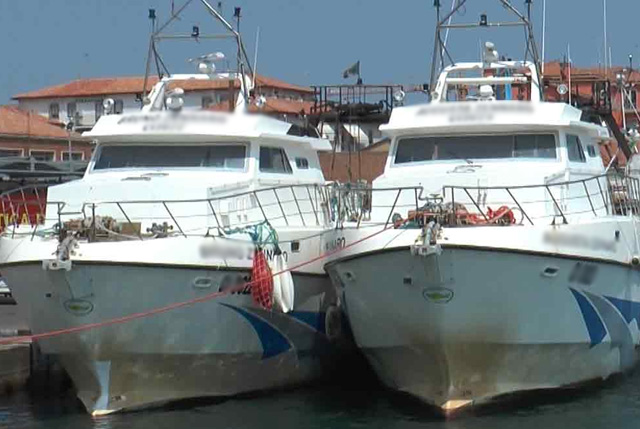 imprese ittiche marineria veneta