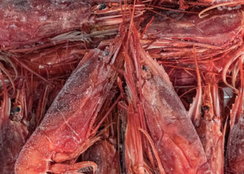 inflazione pesce surgelato