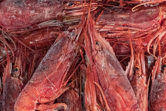 inflazione pesce surgelato