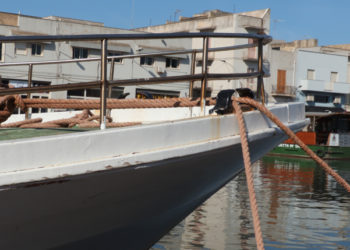 intesa Stato Regioni