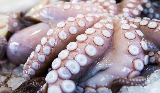 mercato polpo nell'Ue