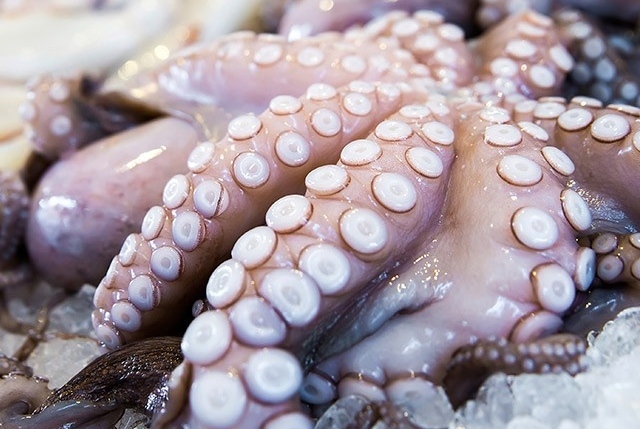 mercato polpo nell'Ue