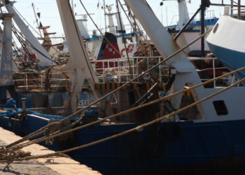 pescatori autonomi soci di cooperative