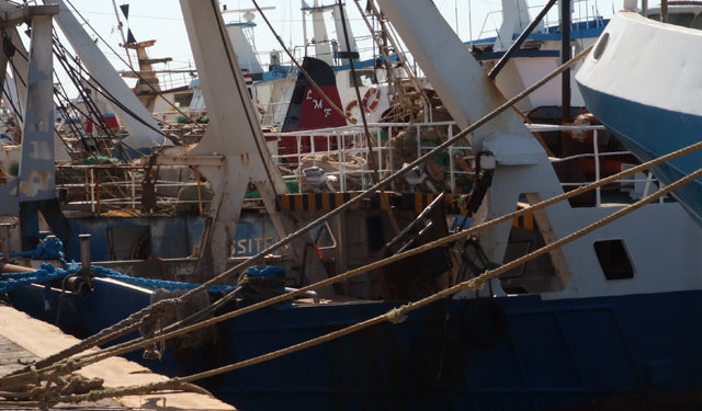 pescatori autonomi soci di cooperative