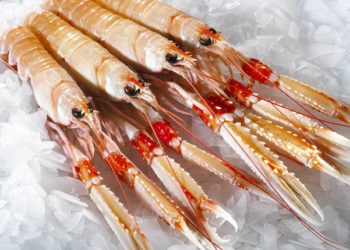 prodotti ittici irlandesi