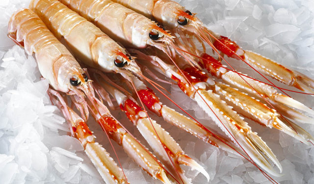 prodotti ittici irlandesi