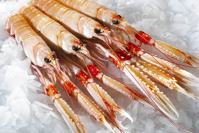 prodotti ittici irlandesi