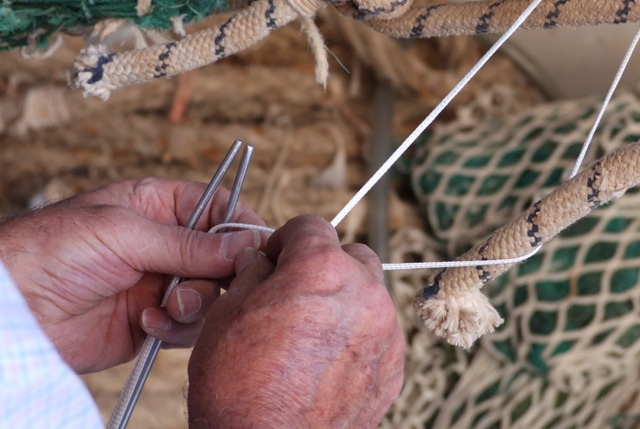 sostenibilità pesca mari italiani