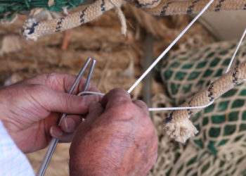 sostenibilità pesca mari italiani