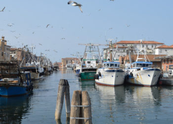 Alto Adriatico fermo pesca