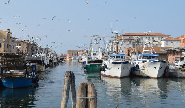Alto Adriatico fermo pesca