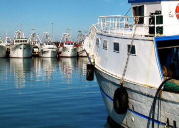 segretezza modalità applicazione norme pesca