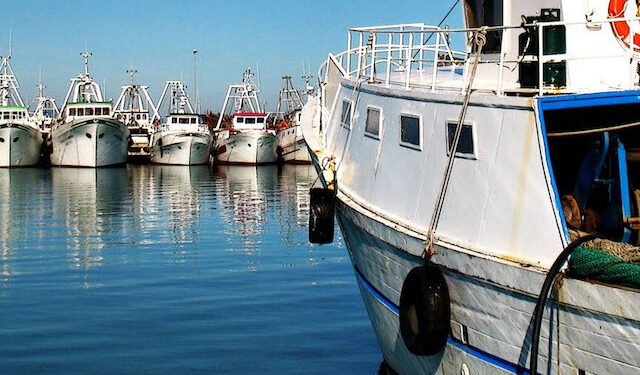 segretezza modalità applicazione norme pesca