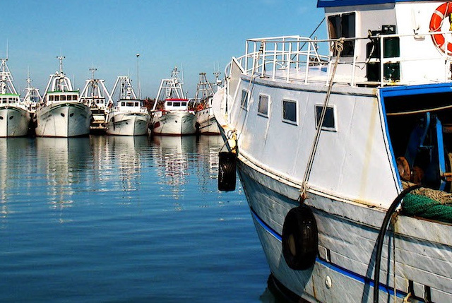 segretezza modalità applicazione norme pesca