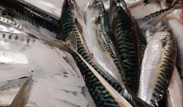 Mangiare pesce cambiamento climatico