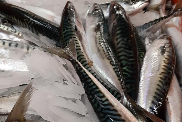 Mangiare pesce cambiamento climatico