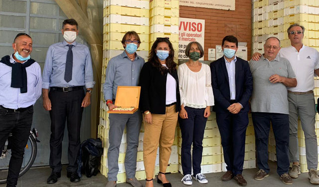 Pesca Mammi strategia