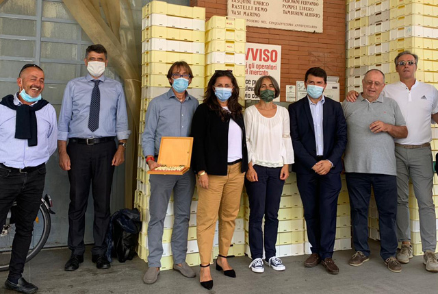 Pesca Mammi strategia