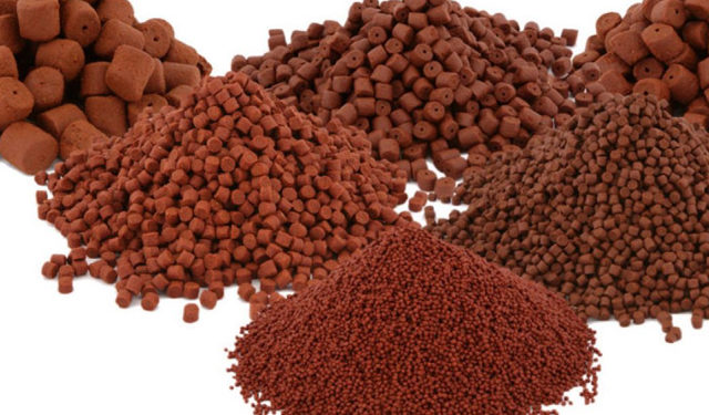 acquacoltura mangimi pesci