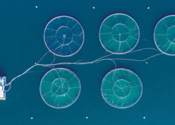 acquacoltura settore crescita