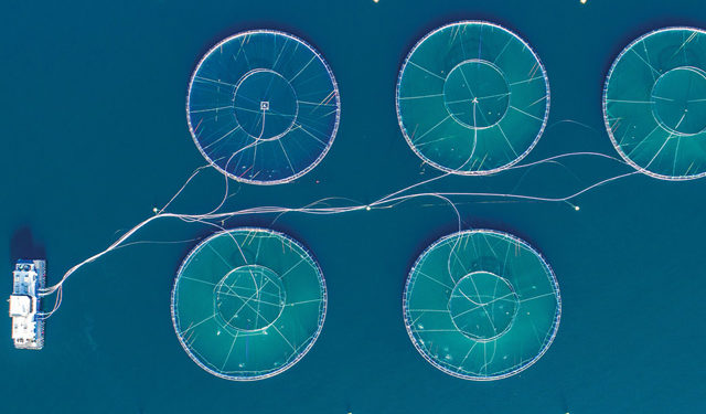 acquacoltura settore crescita