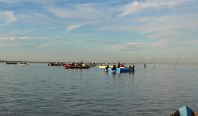 distretti agroalimentari prodotti ittici