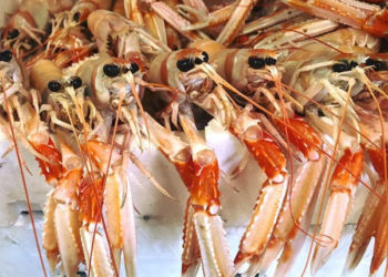 fermo pesca Coldiretti