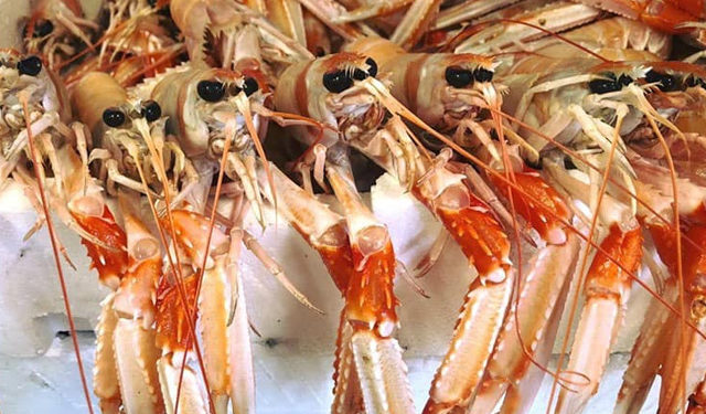 fermo pesca Coldiretti