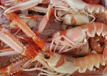 mercato globale crostacei