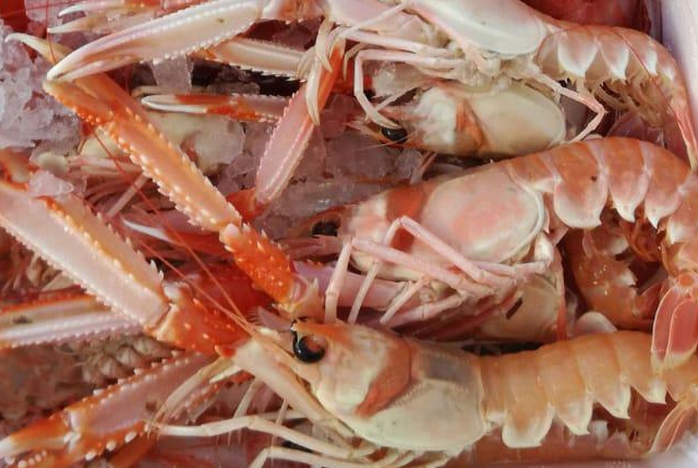 mercato globale crostacei