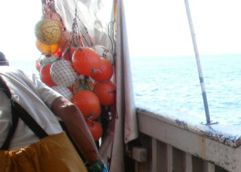 pesca segnali ripresa