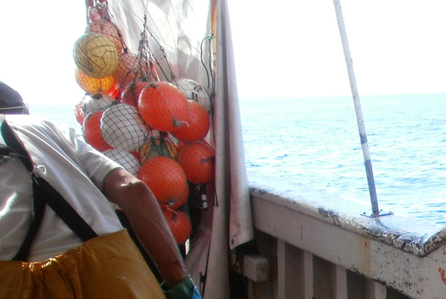 pesca segnali ripresa