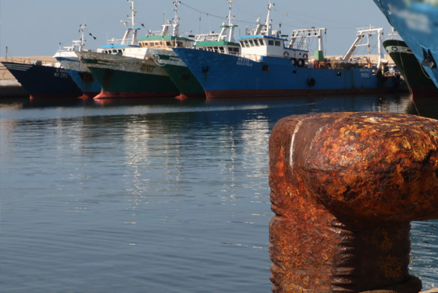 riprogrammazione Feamp 2014-2020