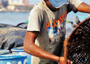 schiavitù catene approvvigionamento pesce