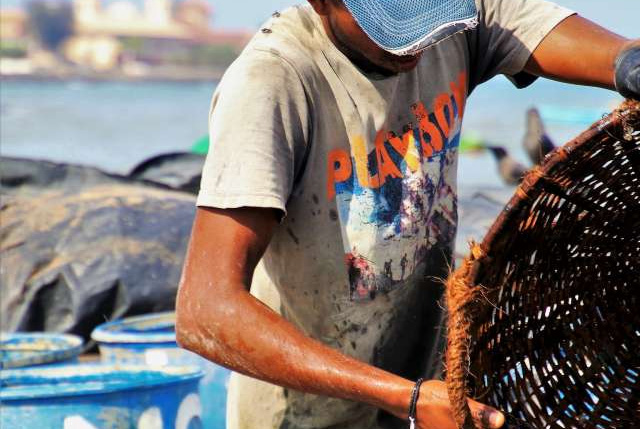 schiavitù catene approvvigionamento pesce