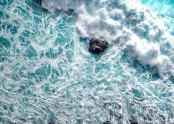 Alfabetizzazione oceanica