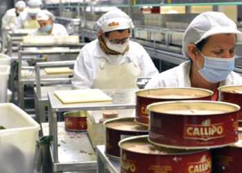 Callipo Best Managed Companies