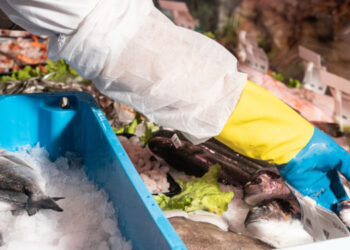 Formazione pescatore